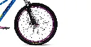 07705084321357-5.webp