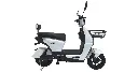 7705084358538 -6.webp